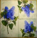016 Hydrangeas - 3-ply (yellow) - Ihr